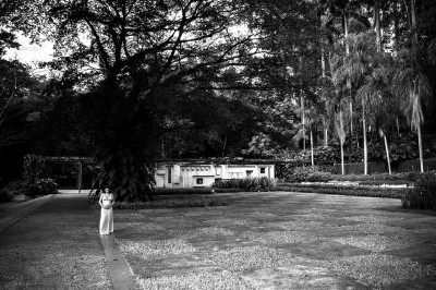 tytoneves-41