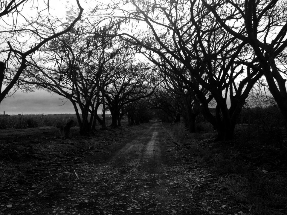 Foto de iPhone.